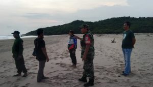PENCARIAN : Tim SAR Gabungan saat melakukan pencarian wisatawan yang hilang di Pantai Ujung Genteng Sukabumi. (foto : ist)