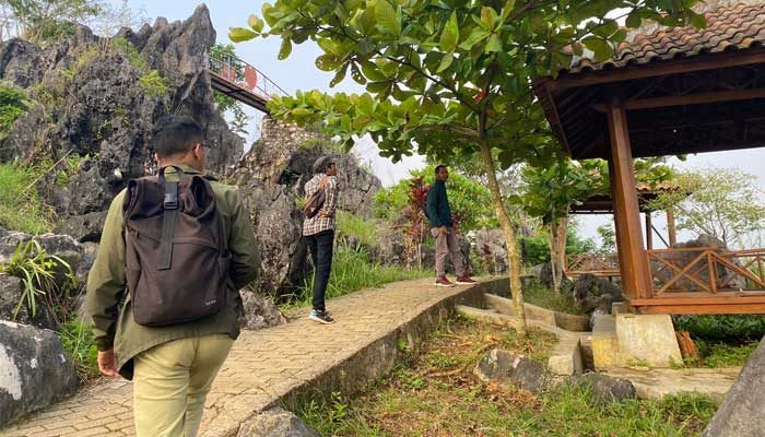 Harimau Jawa Muncul di Perbukitan Sukabumi, Ini Kata Balai BKSDA Jabar 