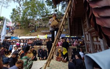 SEREN TAHUN : Kapolres Sukabumi AKBP Maruly Pardede saat mengikuti prosesi ngampihkan pare ka leuit dalam acara seren taun ke 444 di kasepuhan Sinar Resmi. (FOTO : NANDI/ RADARSUKABUMI)