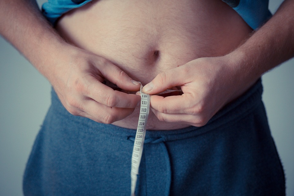 Lemak Perut yang menumpuk bisa menyebabkan perut menjadi Buncit -Foto/Pixabay/jarmoluk-