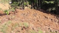 Tebing setinggi 150 meter longsor di Kecamatan Pasirkuda, Cianjur, Jawa Barat, sehingga menimbun seorang petani yang sedang mengarap sawahnya, Sabtu (29/7/2023). (Ahmad Fikri)