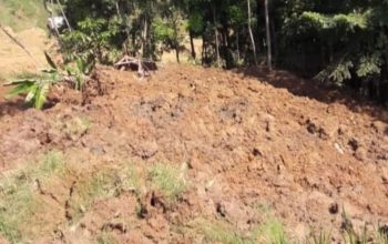 Tebing setinggi 150 meter longsor di Kecamatan Pasirkuda, Cianjur, Jawa Barat, sehingga menimbun seorang petani yang sedang mengarap sawahnya, Sabtu (29/7/2023). (Ahmad Fikri)