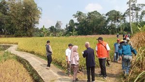 Warga Desa Kebonpedes Sukabumi Sambut Pembangunan Jalan Usaha Tani