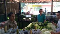 Kecamatan Sukabumi membuat terobosan dengan membuat program unggulan yang menghadirkan pojok sayuran. 