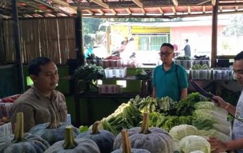 Kecamatan Sukabumi membuat terobosan dengan membuat program unggulan yang menghadirkan pojok sayuran. 