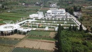 Pengembangan Agroeduwisata Cipanas Cianjur, Kementan Yakin Berdampak Positif