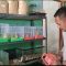 Cuan Puluhan Jutaan dari Si Hamster Sukabumi