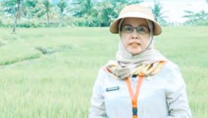 Distan Kabupaten Sukabumi Canangkan Strategi Catumbiri untuk Tingkatkan Kesejahteraan Petani