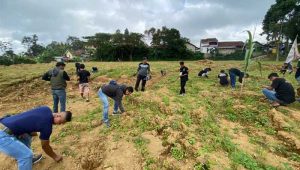 Warga Kadudampit Sukabumi Hijaukan Lapang Cijagung, Tanam Ribuan Bibit Pohon
