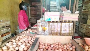 Harga Telor Ayam di Kota Sukabumi Turun Tipis Rp27.000