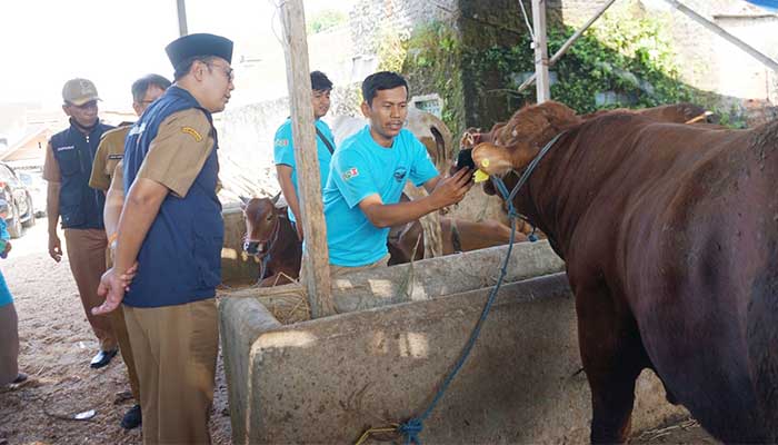 WAli Kota Sukabumi, Achmad Fahmi