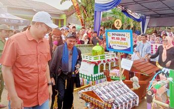 Wali Kota Sukabumi, Achmad Fahmi