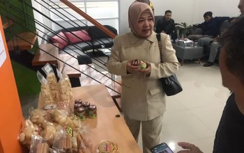 MENINJAU : Anggota DPRD Provinsi Jawa Barat Fraksi Gerindra Lina Ruslinawati saat meninjau produk UMKM di Kecamatan Nagrak, Sabtu (08/07)