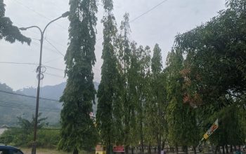 Kondisi lampu PJU jalan Ahmadyani Palabuhanratu Sukabumi. (FOTO : NANDI/ RADARSUKABUMI)