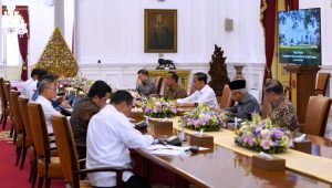 Daftar Menteri dan Wakil Menteri Presiden Jokowi Maju Nyaleg
