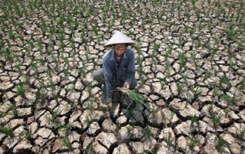 Sejumlah wilayah di tanah air mulai terdampak kekeringan akibat adanya fenomena El Nino  Ilustrasi/Net