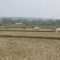 Lahan pertanian di wilayah Kabupaten Bogor, Jawa Barat. 