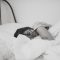 Tidur kurang dari 5 jam disebut akan menyebabkan kematian dini-Foto/Unsplash/Kinga Howard-