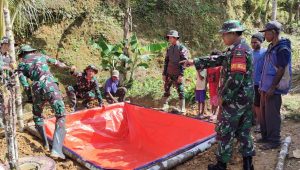 Satgas Yonif 310/KK Sukabumi Ajarkan Warga Papua Budidaya Lele