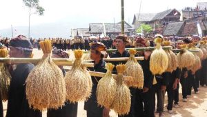 Kasepuhan Ciptagelar Sukabumi Seren Taun ke 655, Ketua Adat Bicara Momen Spesial