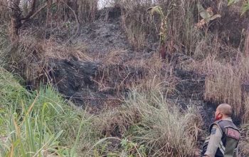 Kebakaran Lahan Sukabumi