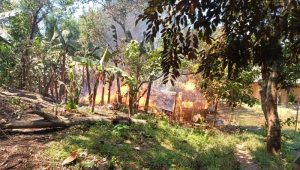 Rumah Panggung di Surade Sukabumi Hangus Terbakar, Diduga Akibat Korsleting Listrik