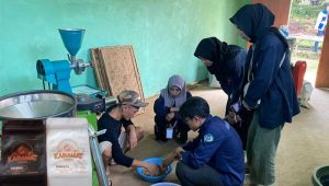Petani di Desa Gunung Karamat Sukabumi Kembangkan Tanaman Kopi