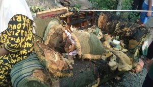Polres Sukabumi Tangkap Pemuda Simpenan Bakar Rumah Gegara Minta Uang ke Orang Tua Tidak Dikasih