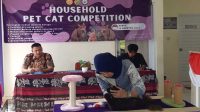 Polbangtan Kementan Gelar Kontes Kecantikan Kucing