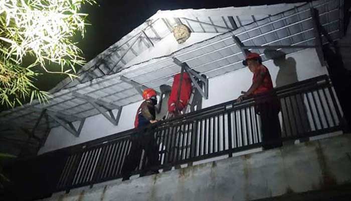 Sarang Tawon Sukabumi