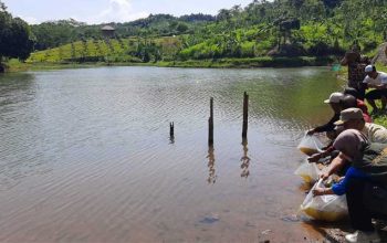situ Cekdam Waluran Mandiri