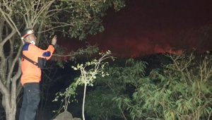 Gunung Ciremai Terbakar, Petugas Gabungan Berjibaku Padamkan