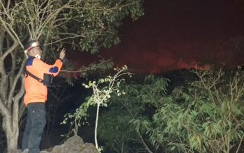 Petugas memantau kawasan hutan yang terbakar di Taman Nasional Gunung Ciremai, Kabupaten Kuningan, Jawa Barat, Jumat (25/8/2023). (BPBD Kuningan)