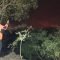 Petugas memantau kawasan hutan yang terbakar di Taman Nasional Gunung Ciremai, Kabupaten Kuningan, Jawa Barat, Jumat (25/8/2023). (BPBD Kuningan)