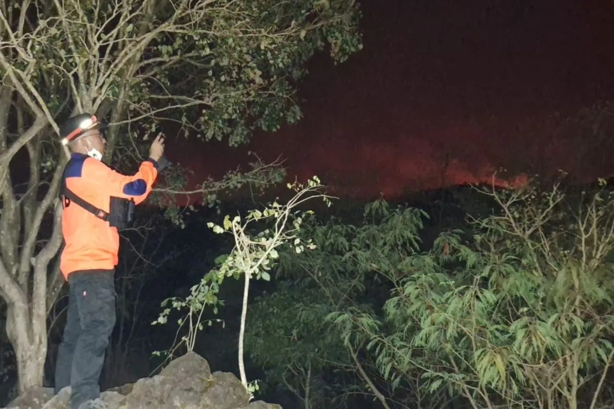 Petugas memantau kawasan hutan yang terbakar di Taman Nasional Gunung Ciremai, Kabupaten Kuningan, Jawa Barat, Jumat (25/8/2023). (BPBD Kuningan)
