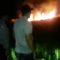 Kebakaran lahan PT Cijambe sukabumi