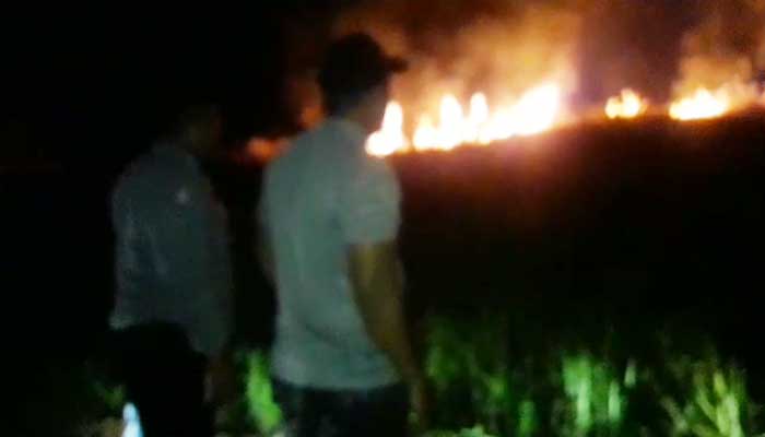 Kebakaran lahan PT Cijambe sukabumi