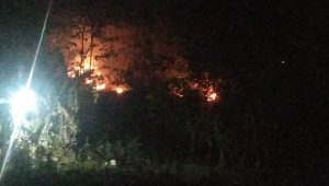 Lahan Gunung Sunda Cisaat Terbakar