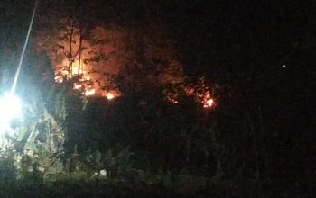 Sekitar 500 meter lahan di Gunung Sunda tepatnya di Kampung Ciroyom RT (28/08) Desa Padaasih Kecamatan Cisaat  Kabupaten Sukabumi terbakar, pada Senin (18/09/2023)