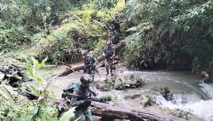 Penuh Perjuangan, Yonif 310 Sukabumi Jaga Patok Perbatasan di Papua