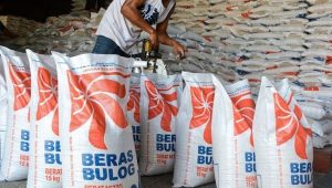 IPR : Kenapa Pemerintah Impor Beras di Tahun Politik