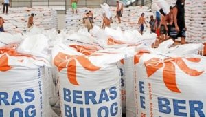 Daftar Harga Beras di Seluruh Indonesia, Semakin Mahal!