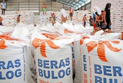 Harga Beras di Indonesia naik-fin.co.id