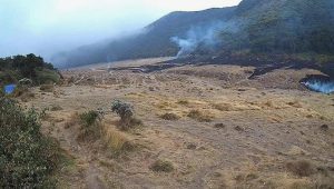 Daftar 77 Pendaki Ilegal  Gunung Gede Pangrango Disanksi