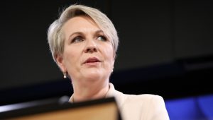 Gara-gara Tambang Batu Bara, Menteri Lingkungan Hidup Australia Digugat