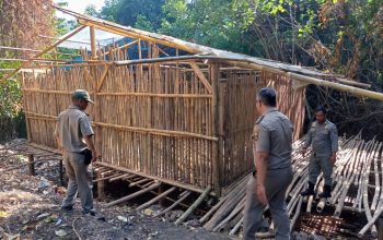 DITERTIBKAN : Personel Satpol PP saat menertibkan bangunan liar di Citepus, Palabuhanratu