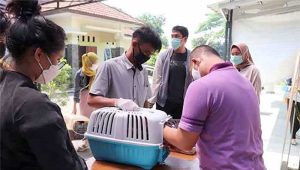 DKP3 Kota Sukabumi melakukan vaksinasi