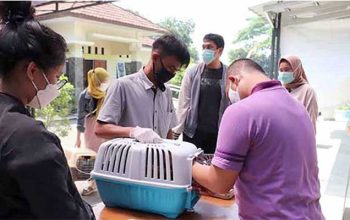 DKP3 Kota Sukabumi melakukan vaksinasi