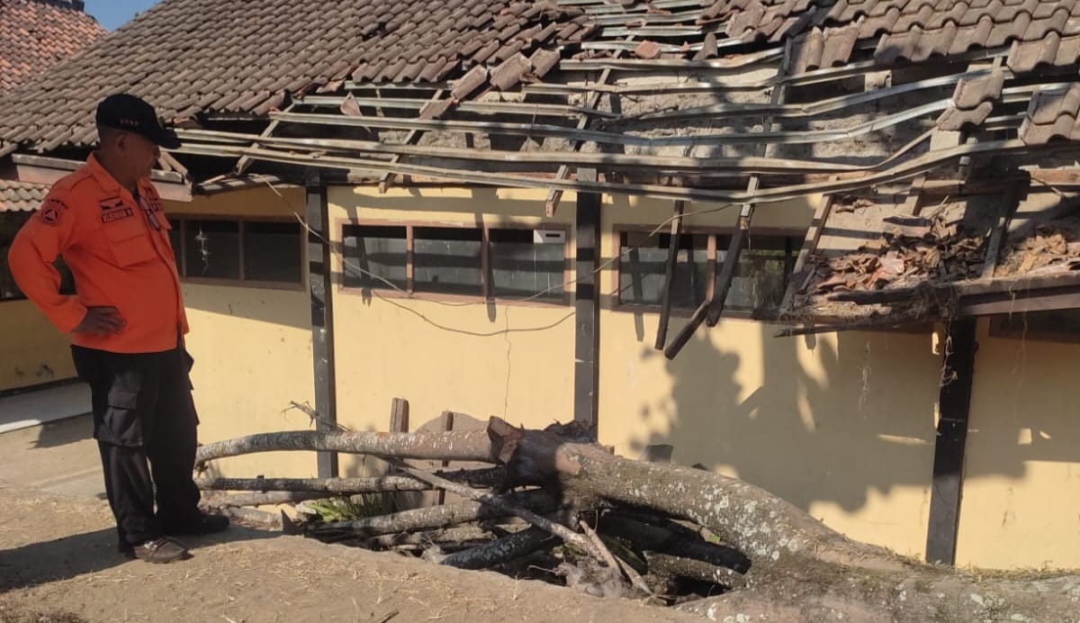 BENCANA ALAM : P2BK saat tinjau lokasi pohon roboh timpa atap SDN 2 Jayanti, Kecamatan Palabuhanratu, Kabupaten Sukabumi.(foto : ist)
