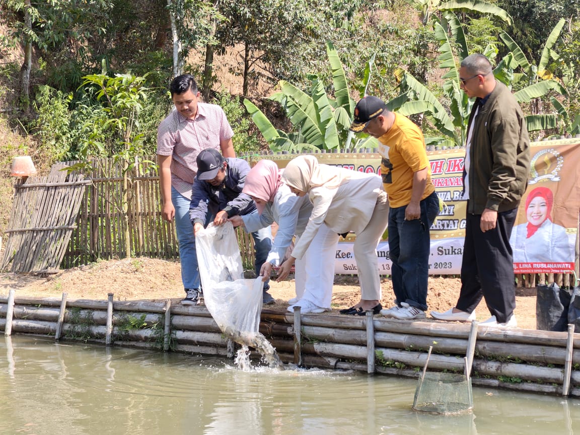 MENEBAR BENIH : Lina saat menebar benih ikan kepada kelompok pembudiaya ikan (pokdakan) di desa cirenghas kecamatan sukaraja.(foto : ist)